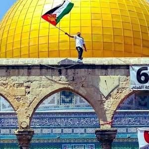 Meet your Posher, Nadim